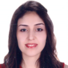 Sevda Jafarzadeh, M.Sc.